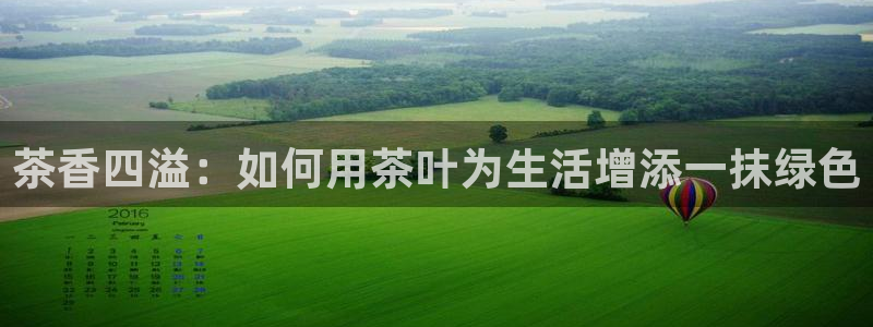 金年会菲律宾