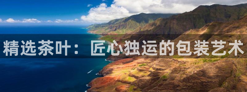 金年会体育下载