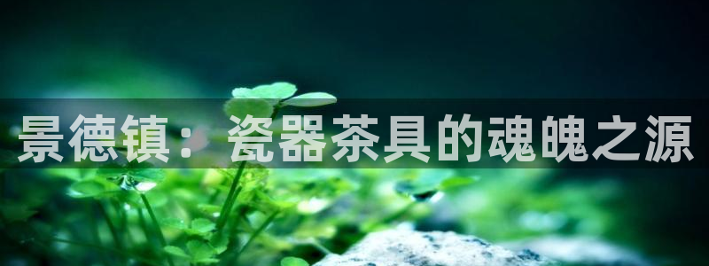 澳门娱乐金年会