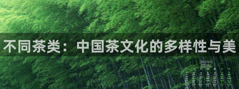 金年会下载