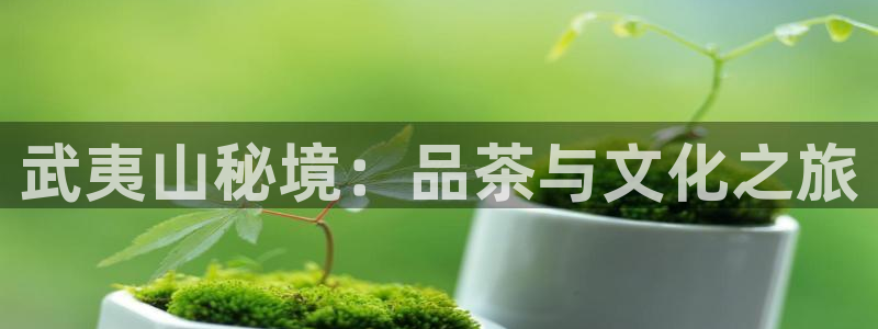 宝金年会