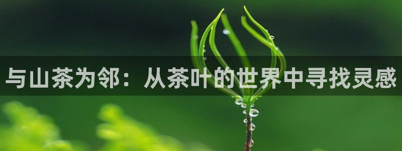 金年会推荐
