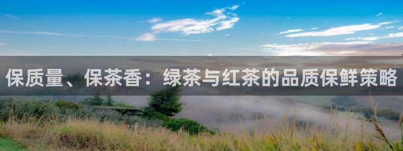 金年会今年会