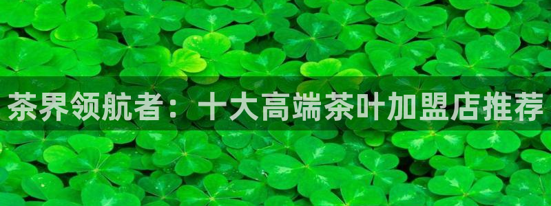 金诚集团年会