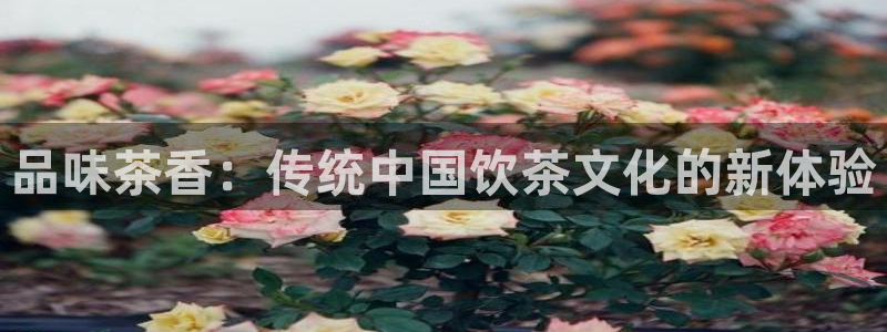 金年会app下载官网