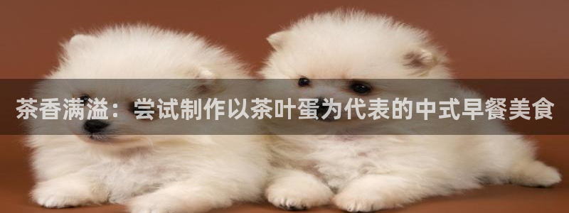 金年会全站app