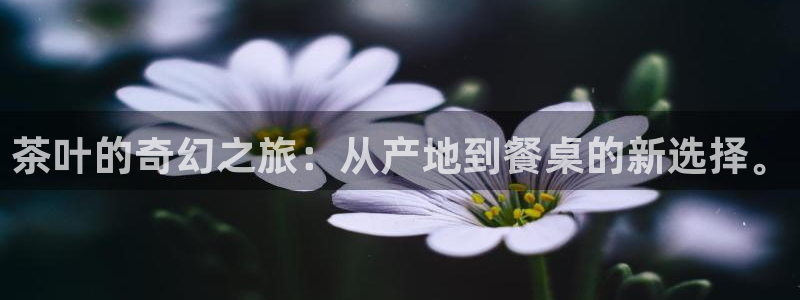 金年会娱乐下载app
