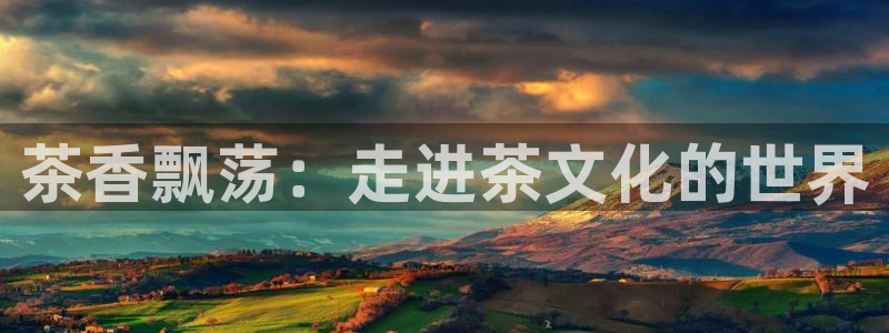 金年会体育在线入口