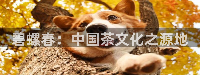 金年会 平台