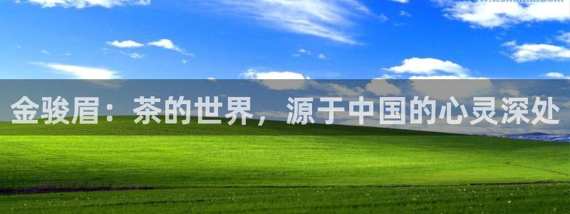 金年会网页
