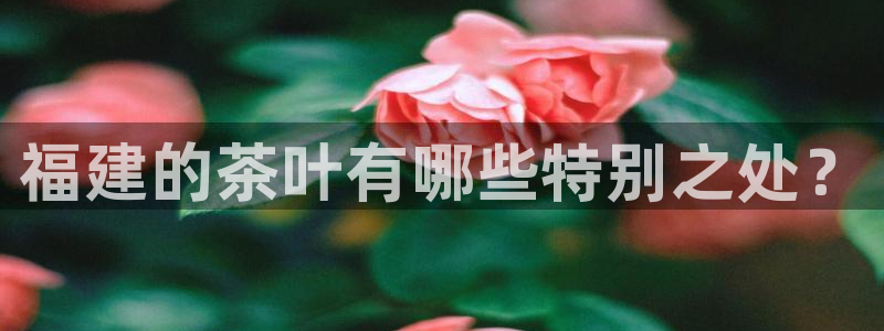 金年会是啥