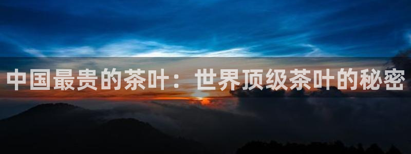 金年会入口网站
