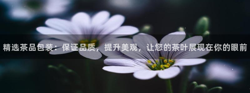 金年会电子