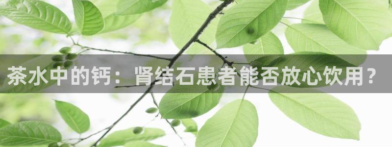 金年会赞助曼联