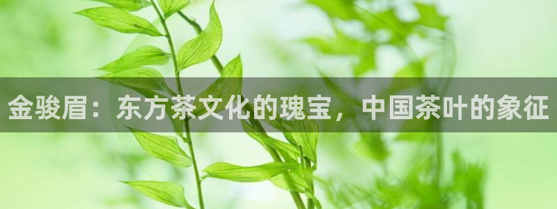 金年会官网登入