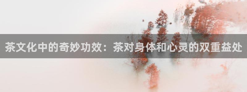 金 金年会