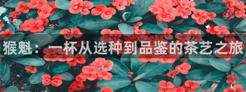 金年会推荐
