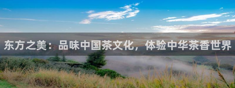 金年会退款