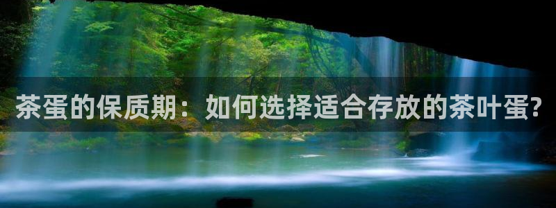 金年会网站