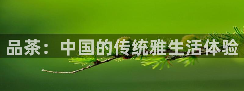 金年会 信誉至上