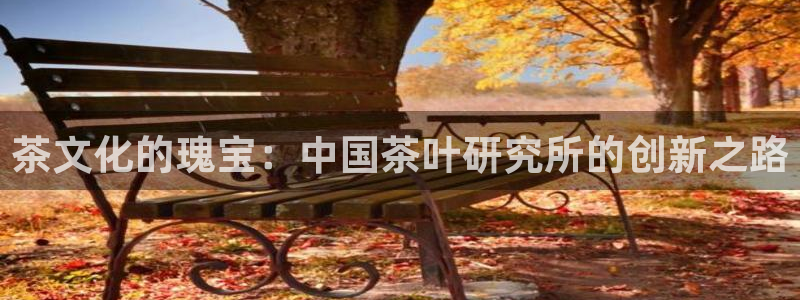 金金年会
