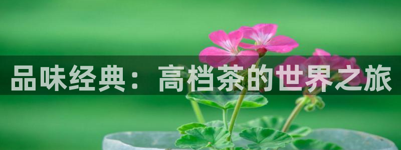 金实年会