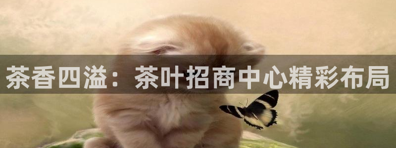 金年会彩票下载app