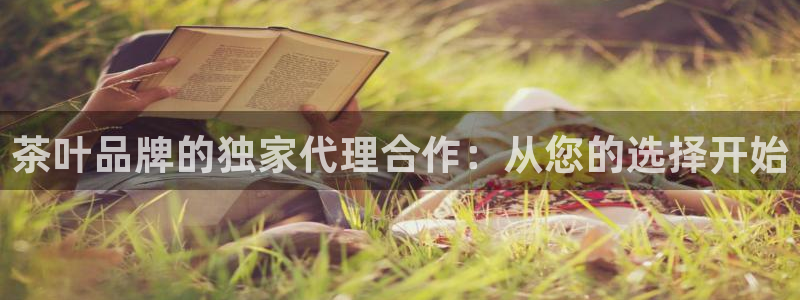 金年会是正规的吗