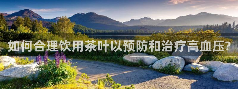 金年会手机版