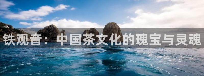 金年会jinnian