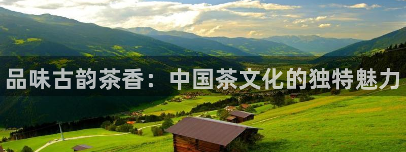 金年会体育娱乐