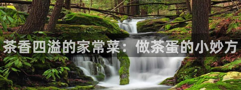 金年会入口网站