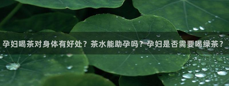澳门金年会棋牌