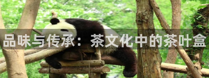 金年会取款