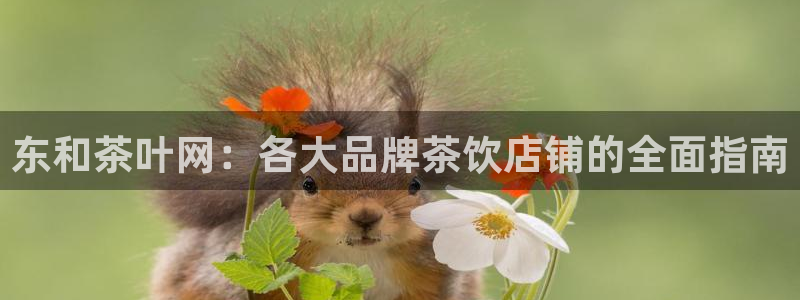 金年会能提款吗