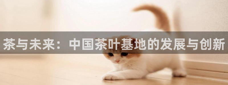 金年会体育官网在线