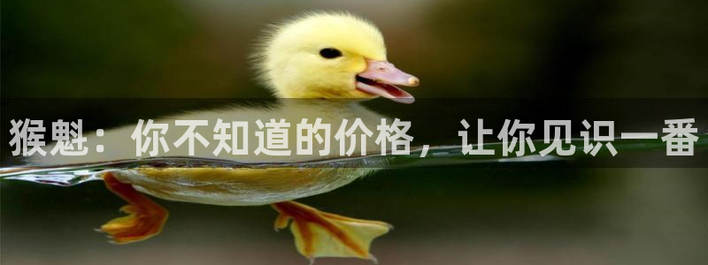 金年会在线下载