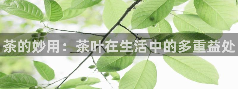 金年会体育平台
