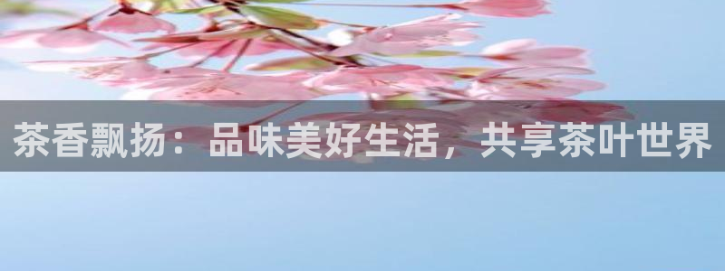 金年会平台包赔