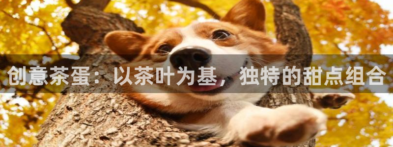 金年会体育官网