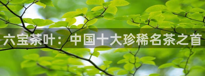 金年会澳门6766