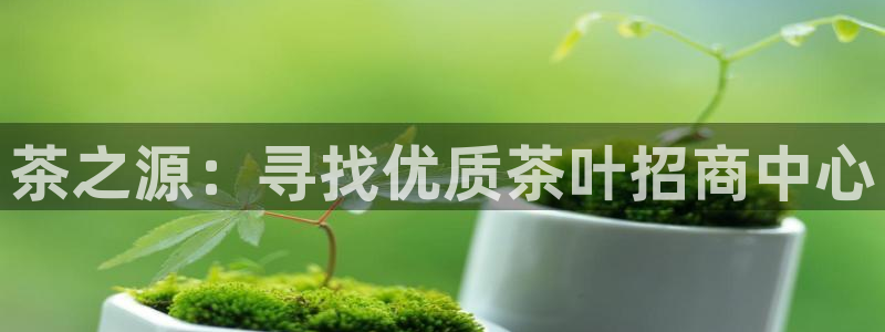 金顶年会