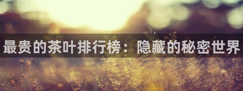 体育金年会