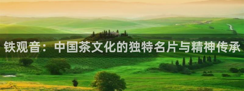 金年会.cc