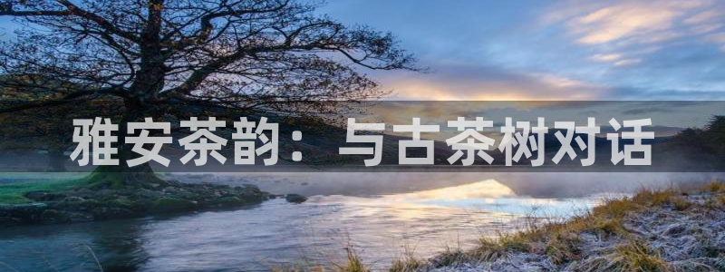 金年会app在线