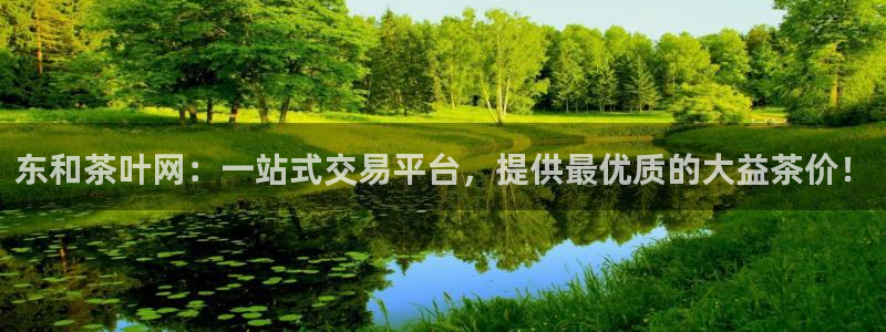 金科年会图片
