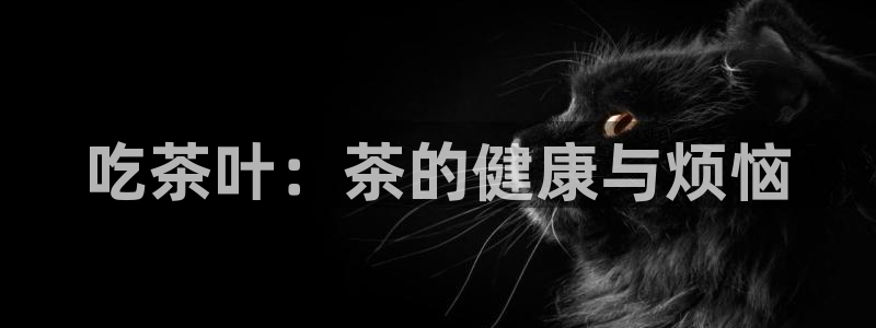 金实年会