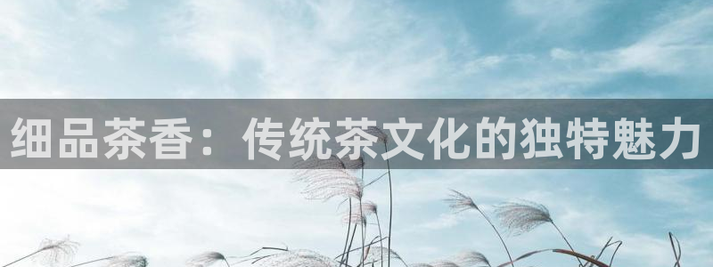金年会 金字招牌