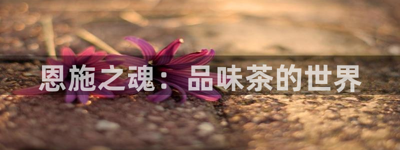 金年会体育下载