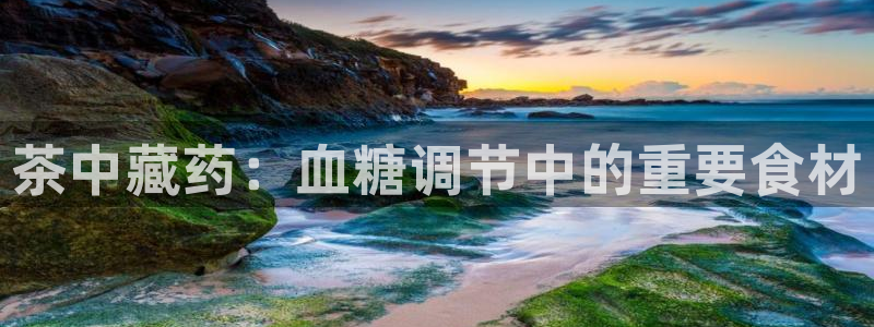 金年会网页版登陆